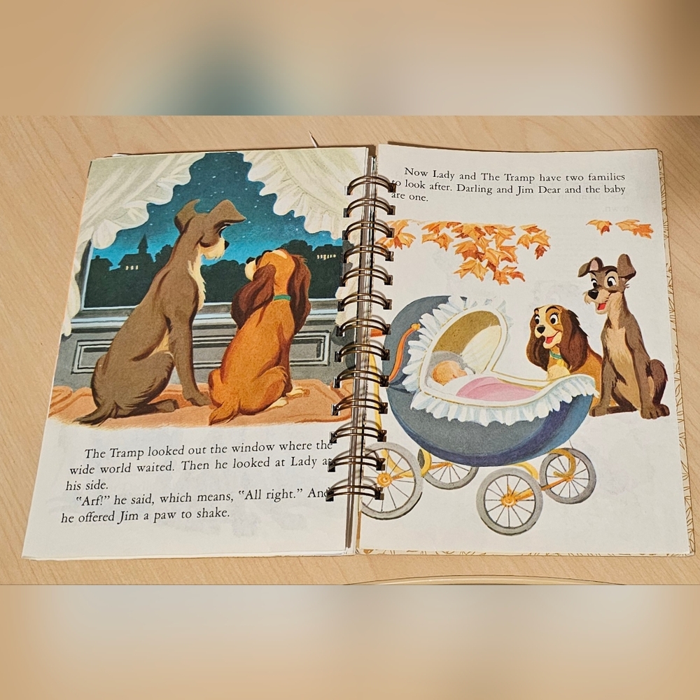 'Lady' Journal - Picture 4 of 5